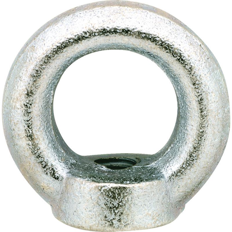 DX Dulimex Oogmoer Gelijkend Din582 M16 Verzinkt