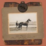 Little Payne - Limblifter - Rock & Alternative - LP - Stereo - Standard Edition