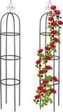 Merkloos / Sans marque Relaxdays Plantensteun Klimplanten - Set van 2 - 200 cm - Metaal - Zwart