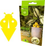 Biogrowi Biofixer - 10 Vangkaartjes - Rouwvliegjes bestrijden - Vangplaatjes - Geel