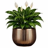 Mica Decorations Plantenpot Pablo - Keramiek - Brons Glans / Ribbels - D29 x H25 cm