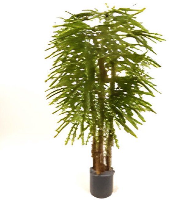 Oosterik Home Rapis palm 120 cm kunstplant