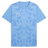 Puma TeamUltimate Jersey 706280