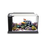 Fluval 10528A1 Evo V Aquariumset voor aquaria, 5,7 l, zwart