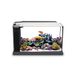 Fluval 10528A1 Evo V Aquariumset voor aquaria, 5,7 l, zwart
