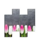 Homemania Wandfoto, motief: bloemen, 4 stuks, voor woonkamer, slaapkamer, meerkleurig, 76 x 0,3 x 50 cm, HM204PMDF5, MDF