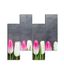 Homemania Wandfoto, motief: bloemen, 4 stuks, voor woonkamer, slaapkamer, meerkleurig, 76 x 0,3 x 50 cm, HM204PMDF5, MDF