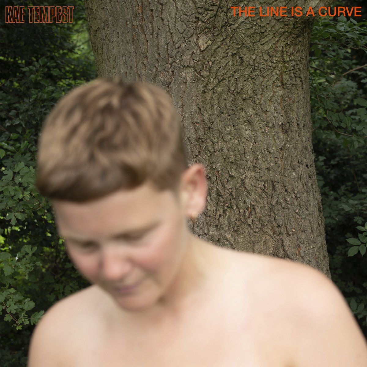 Universal Music Nederland The Line Is A Curve (Deluxe Edition)