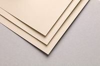Clairefontaine 696166C Pakket Pastelmat Papier - 5 Vellen Speciaal Karton voor Droge Pastels - A3 29,7x42 cm 360g - Beige
