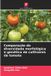 Comparação Edicoes Nosso Conhecimento Comparação da diversidade morfológica e genética de cultivares de tomate