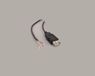 BKL Electronic 10080111 Câble USB 1,8 m Noir
