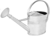 KOTARBAU® Gieter, Plantengieter, Verzinkt Staal, 8 L, Zilver