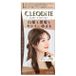 DARIYA Cleodite Cleary Gray Hair Color Bitter Brown