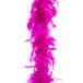 Merkloos / Sans marque Carnaval verkleed veren Boa - kleur fuchsia roze - 2 meter