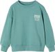 Vertbaudet Jongens sweater met motief op de borst groen