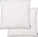 vidaXL Kussens 2 st licht 80x80 cm dons-/verenvulling wit