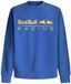 PEPE JEANS Heren TEAM LOGO CREW Sweatshirt, Blauw