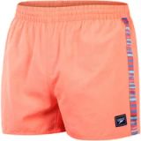 Speedo Short de bain rétro 13 pouces