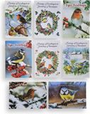 Cards & Crafts 100 Luxe Kerst- en Nieuwjaarskaarten met Pen - 9,5x14cm - 20 x 5 dubbele kaarten met enveloppen - serie Vogels