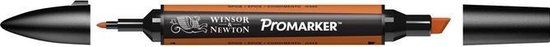 Winsor & Newton Promarker Spice 0346