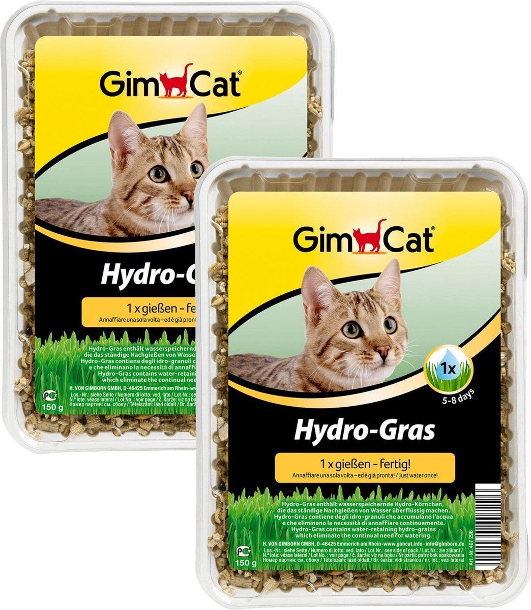 GimCat Gimpet Hy-Kattengras - 2 x 150 g