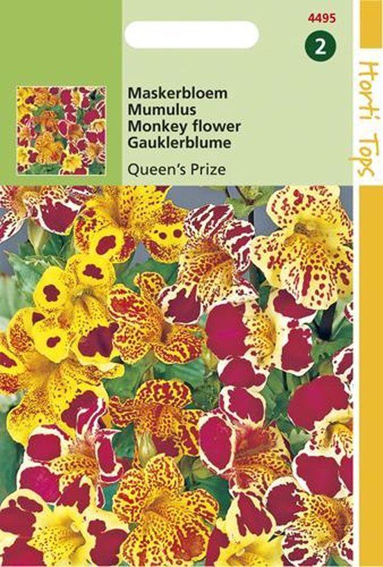 Hortitops Zaden - Mimulus Cupr. Queen's Prize