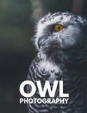 Owl Photography Book: Portraits and Wild Scenes from Forests, Woodlands and Countryside – A Beautiful Coffee Table Book for Birdwatchers and Nature Lovers