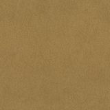 Rasch Behang 751031 - Gouden vliesbehang met bontlook, bontstructuur uit de collectie African Queen