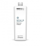 Framesi Morphosis Scalp Destress Shampoo 1000ml