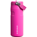 Stanley 1913 Fitness & hydratatie Drinkfles Unisex Bruin