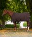 Waldhausen Winterdeken Turnout 300g ESPRESSO Paard Regendeken