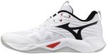 MIZUNO Wave Momentum Pro Heren Indoor Schoenen Wit