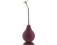 Geda Bonsai Gieterbroes (Balbroes) Pro Braam met lange Hals - 250 ml