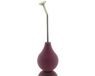 Geda Bonsai Gieterbroes (Balbroes) Pro Braam met lange Hals - 250 ml