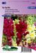 Merkloos / Sans marque Sluis Garden Leeuwenbek Tip Top Mix, hoog gemengd