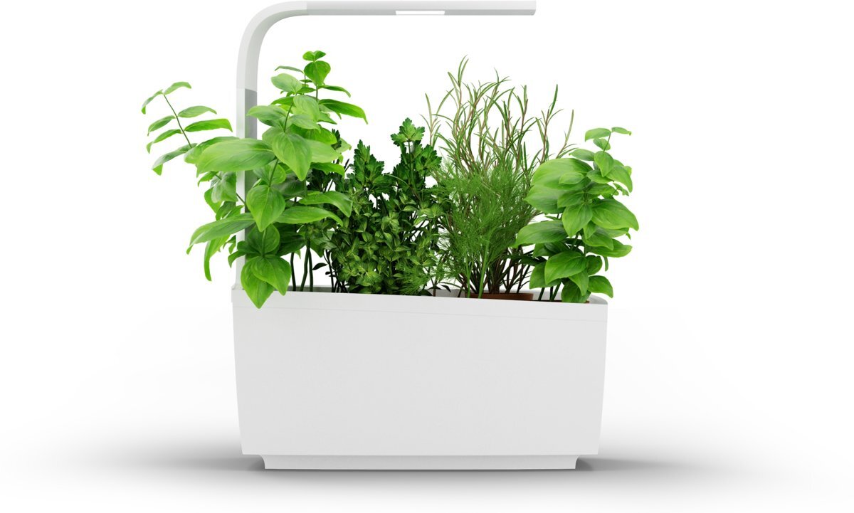 Tregren Binnentuin met LED-verlichting T6 Kitchen Garden White - tot 6 planten