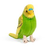 Living Nature Groene grasparkiet met geluid, realistische zachte knuffelvogel, milieuvriendelijke knuffel van Naturli, 11,5 cm, geassorteerd [willekeurige kleur]