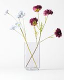 HEMA Vase ⌀12x22cm Cube Verre Transparent