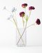 HEMA Vase ⌀12x22cm Cube Verre Transparent