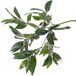 Bellatio flowers & plants Kunstplant laurierblad - Kunsttakken - groen - 48 cm