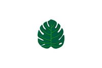 FISURA - Originele lepel-onderlegger "Leckeres Monstera", siliconen lepel, gebruiksvoorwerpenhouder groen, 11,5 x 11,5 cm