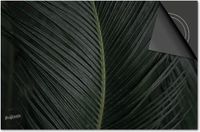 Dietrix Inductie beschermer 78x52 - DELUXE - Leaves - 2 Donkergroen blad