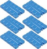 Merkloos / Sans marque Edco Eindhoven Bv Koeltas of koelbox koelelementen - set van 6x stuks - 15 x 8 cm - 220 ml