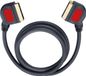 Oehlbach EASY CONNECT SE2000 Scartkabel