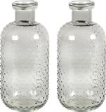 Countryfield Bloemenvaas Cactus Dots - 2x - grijs transparant - glas - D11 x H24 cm