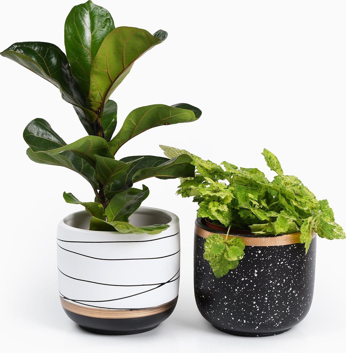 Spieringstore Bloempotten Binnen - Medium Set van 2 - Keramiek - Gouden Rand - ?19 cm - Wit Zwart / Zwart
