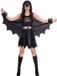 Amscan Kostuum Batgirl Dames Classic Official - Maat L