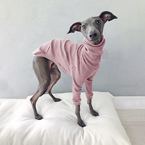 JRKJ Winter Dog Pyjama Solid Color High Neck Threaded Two-Penged Dog Clothes Casual Pet Dog Cothes Kleine en middelgrote hondenkleding