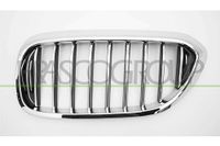 PRASCO Kühlergitter BM0522014 vorne links | Compatibel met: BMW 5, 5 Touring