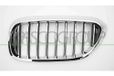 PRASCO Kühlergitter BM0522014 vorne links | Compatibel met: BMW 5, 5 Touring